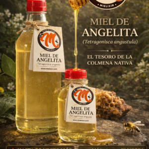 🌼 MIEL ANGELITA