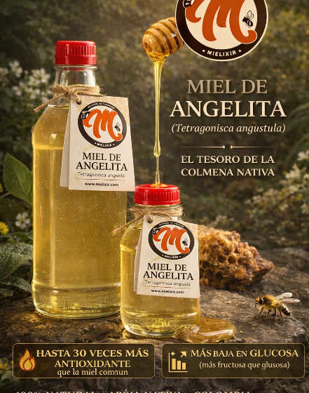 Miel_angelita